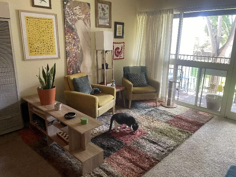 Our first Rug Source rugs just arrived and we could not be happier with them!! We paid a great price for beautiful, natural fiber rugs that shipped quickly and look great. I'm a real person, a 25-year-old PhD student named Charlie, and I was so excited when I set up the rugs that I texted multiple friends to let them know I finally found a business where I could get colorful, stylish, high-quality rugs without having to open a line of credit! I can't wait to finally get rugs for all the rooms in my apartment.